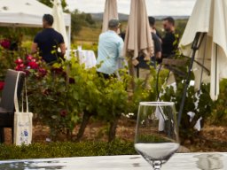 Festival Mar de Tethys 2026 - Bodega Vetas